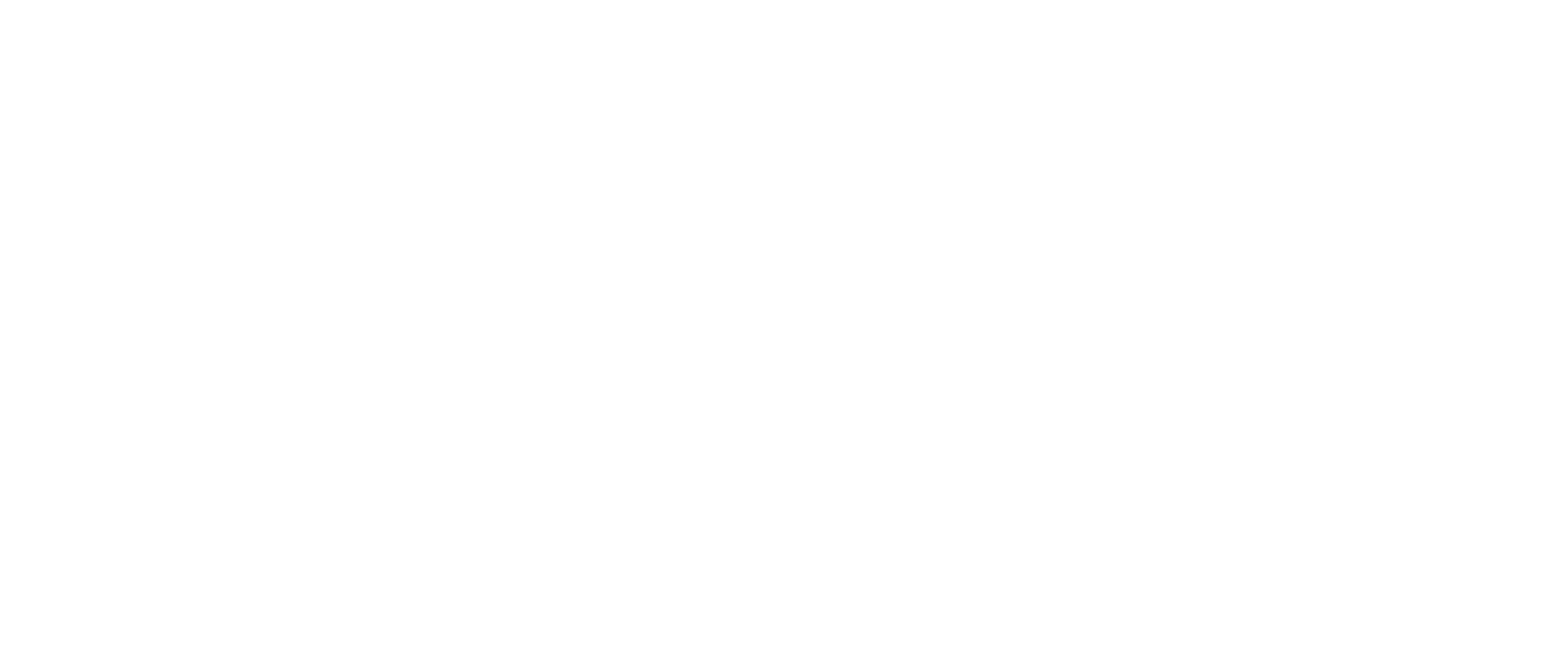 DestinationDFW Relocation Guide Logo WHITE